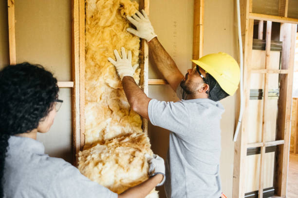 Best Cellulose Insulation  in Latimer, MS