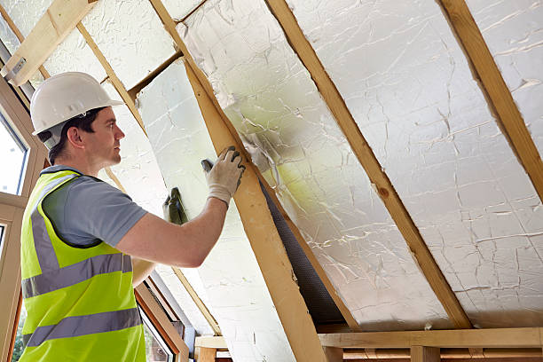 Best Insulation for New Construction  in Latimer, MS
