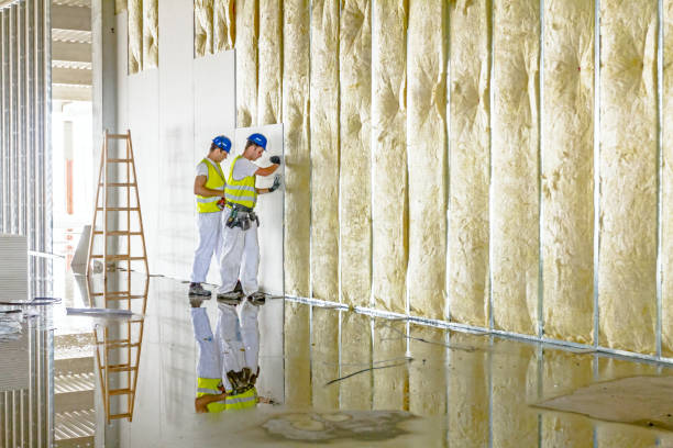 Best Insulation Removal  in Latimer, MS